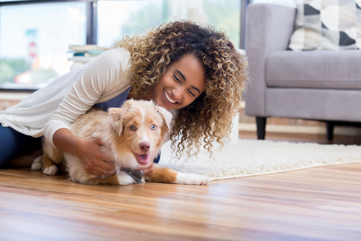 Woman playing with puppy on the floor. 