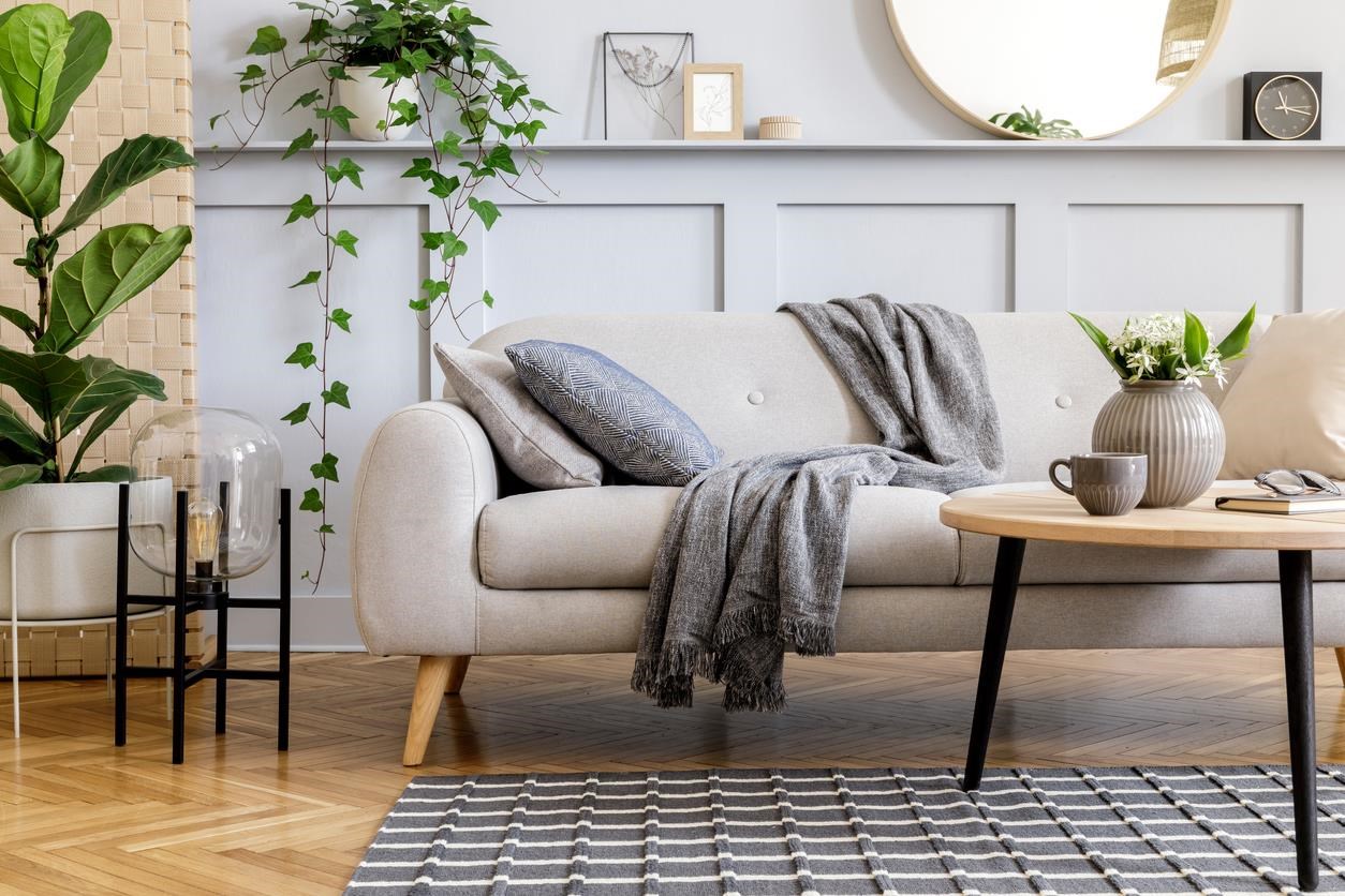 Cozy room in home with plants. 