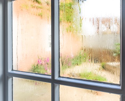 Managing Exposure to Mold Allergens