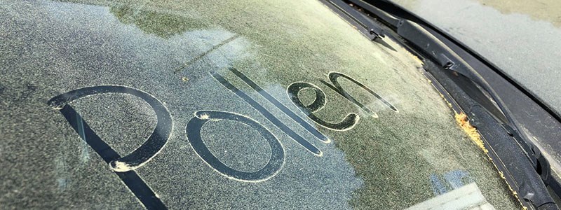 The word pollen written on pollen-covered glass. 