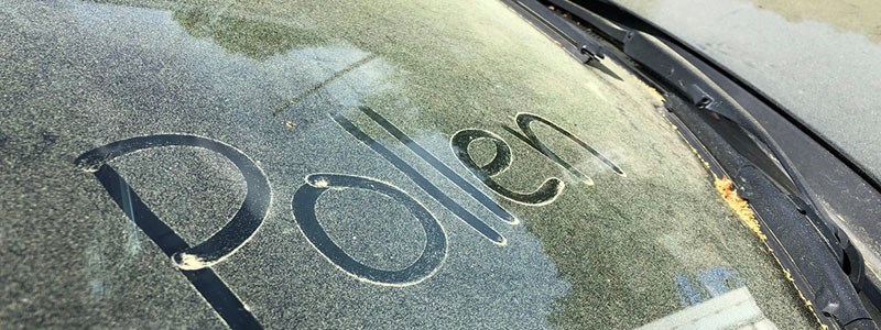 The word pollen written on pollen-covered glass