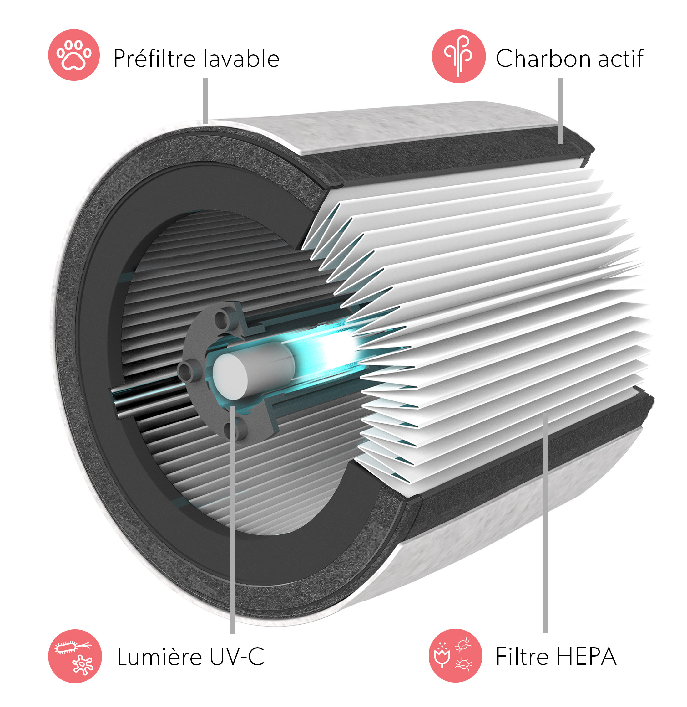 4 niveaux de purification