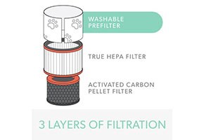 Rendering of the Pet Filter and its three layers of filtration: washable prefilter, True HEPA filter, and activated carbon pellet filter
