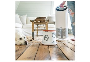 TruSens Pet Filter next to a dog on the floor.