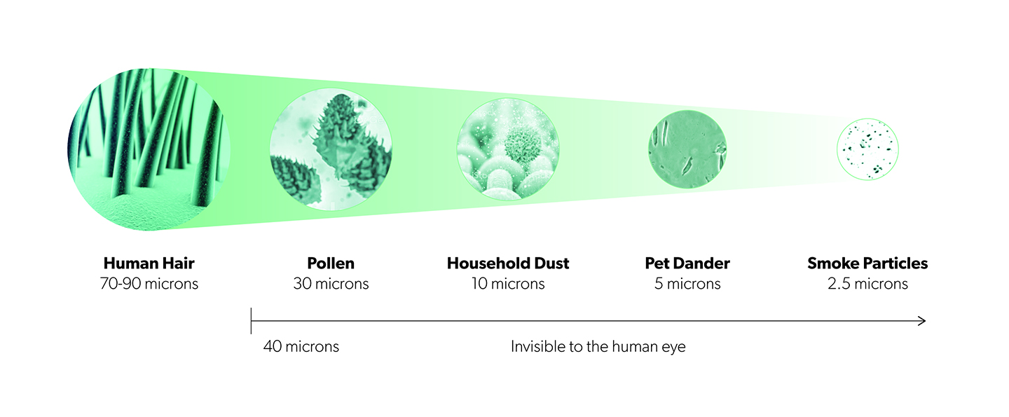 Air Quality Index (AQI) Created by the Environmental Protection Agency (EPA)